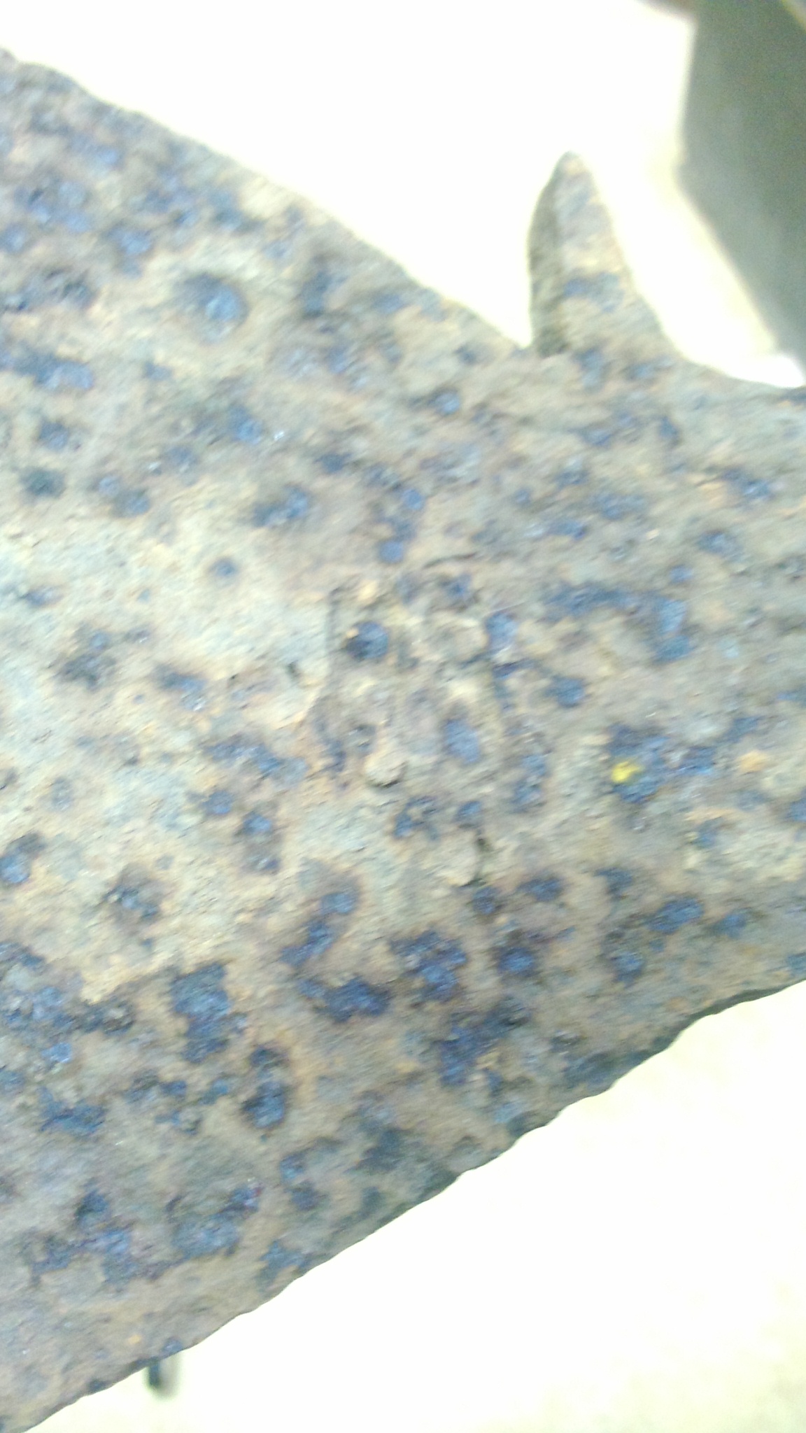 PIC003345