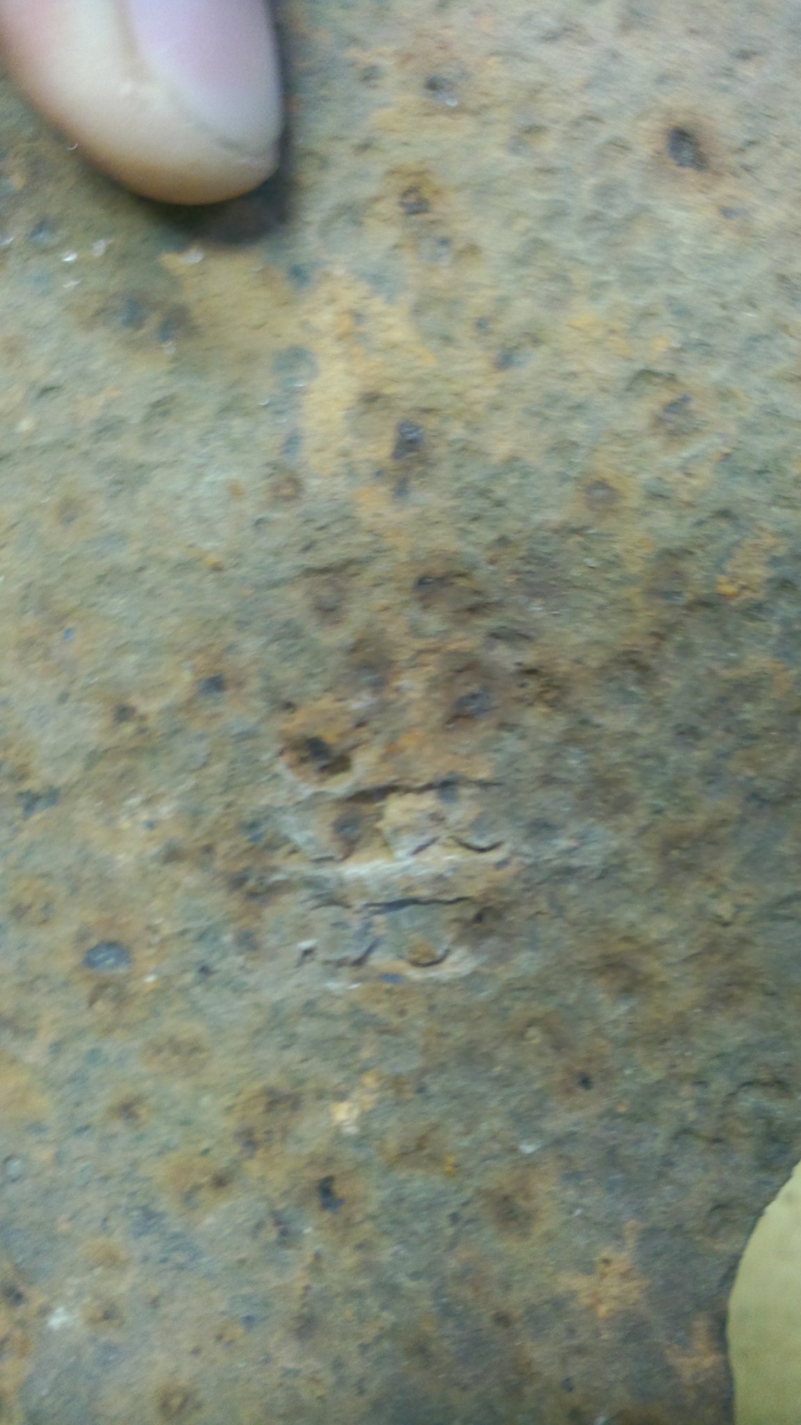 PIC003346